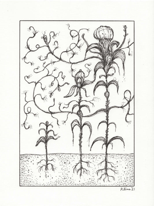 Sprout. Original Ink Drawing. 9" x 12". Inktober.