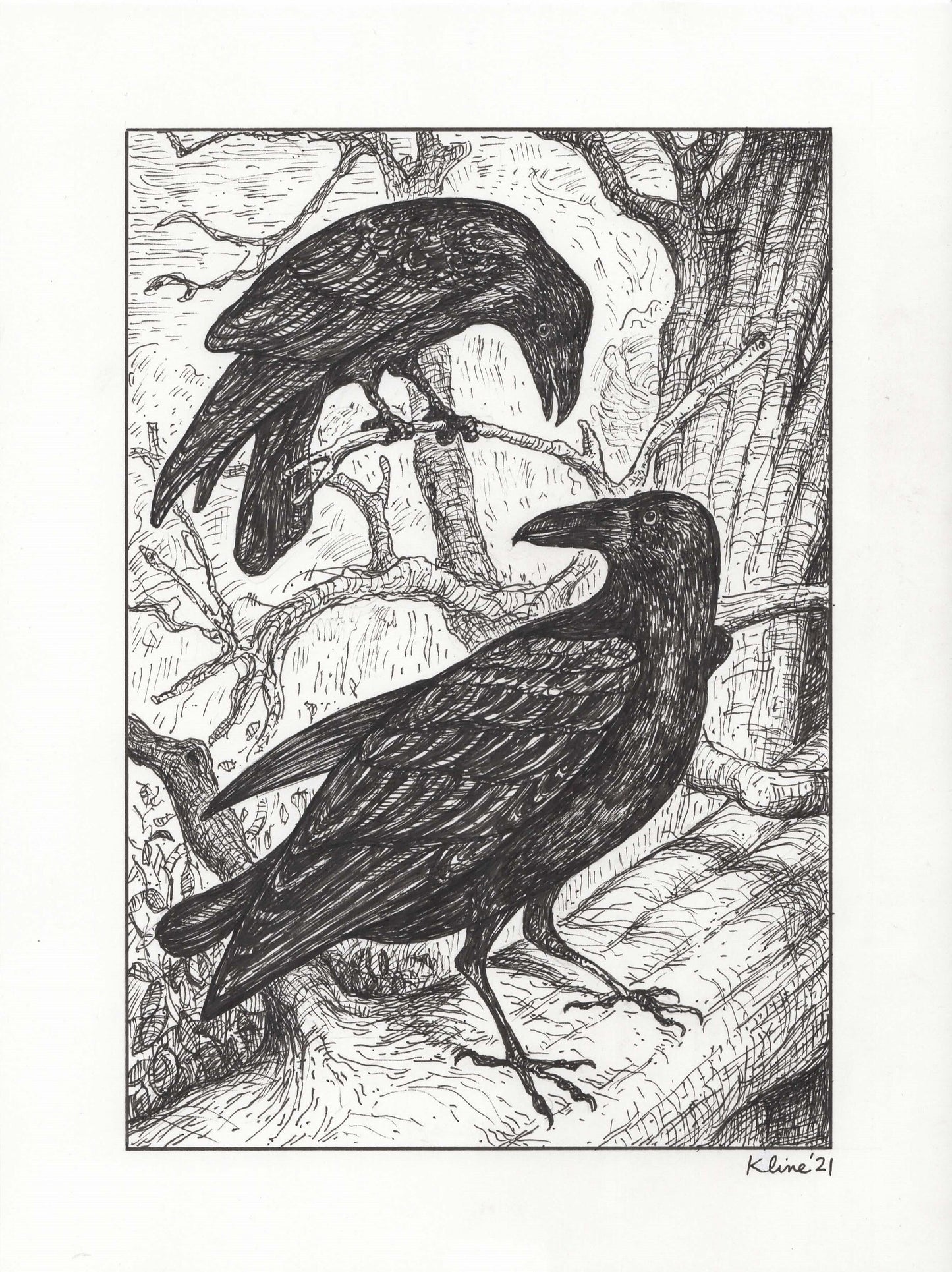 Raven. Original Ink Drawing. 9" x 12". Inktober. ravens. illustration. birds. animals. art. small. John Kline. Kansas City. artwork. pen.